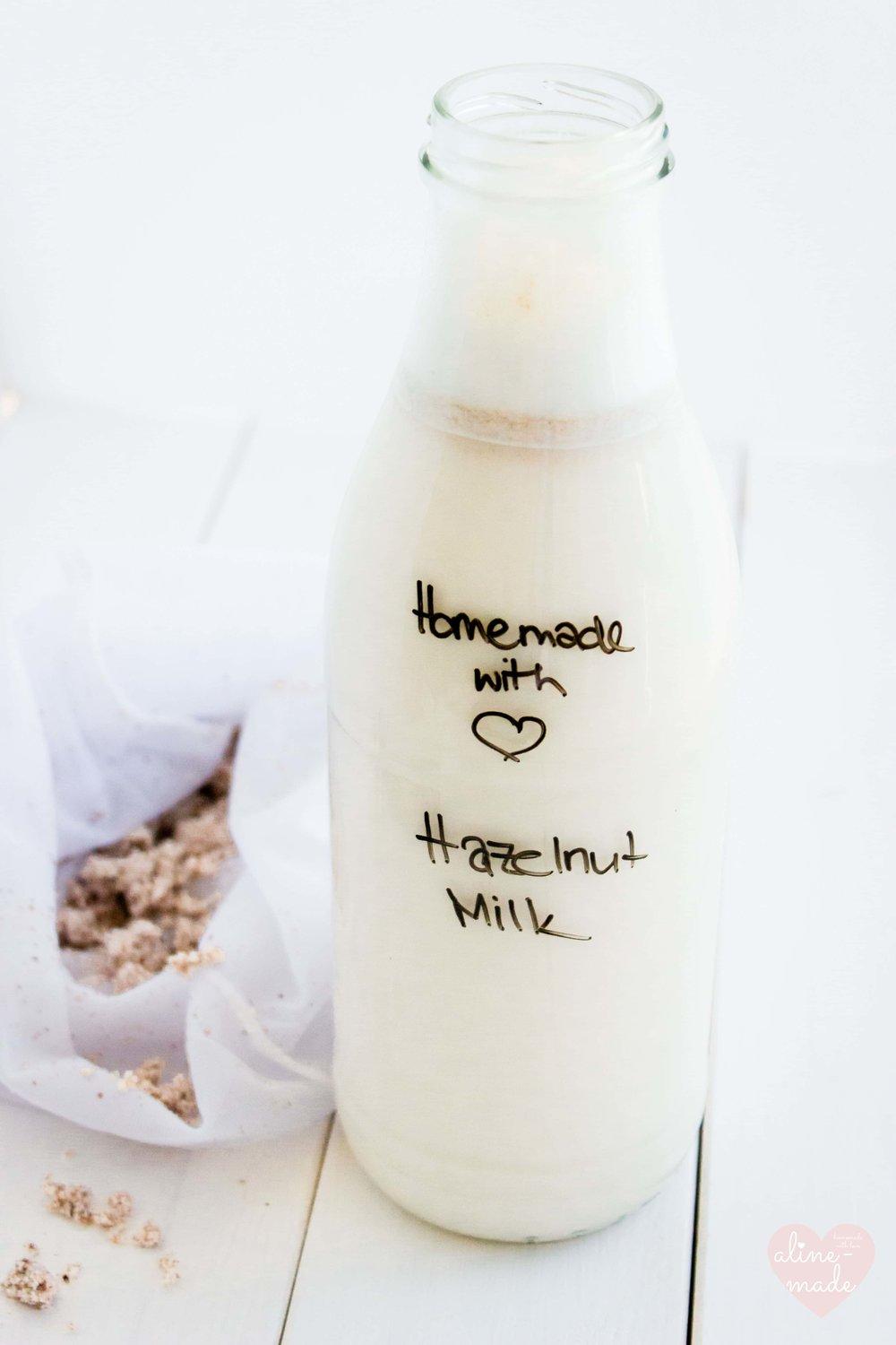 Homemade Nut Milk Recipe