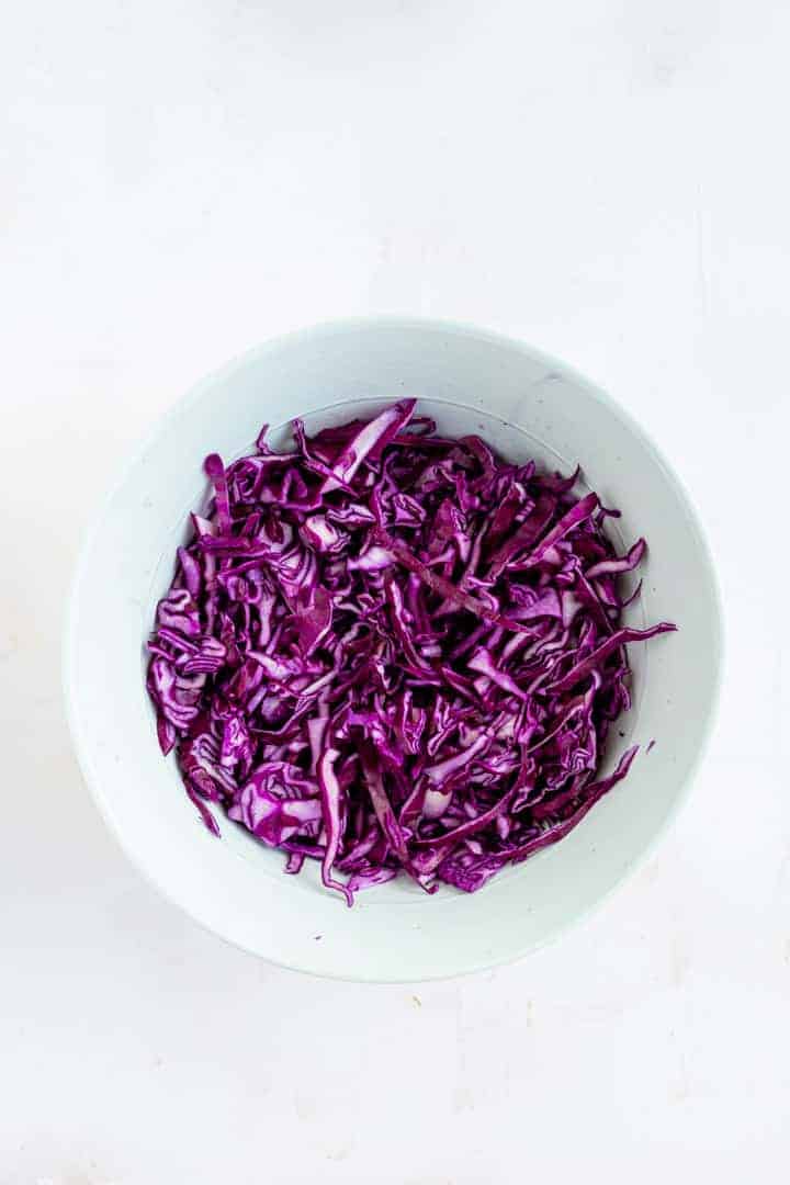 Red Cabbage Slaw and Peanut Dressing