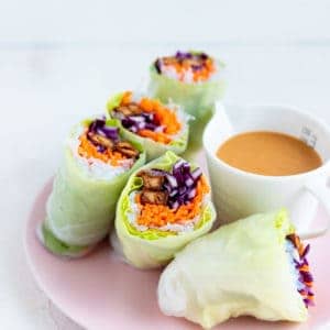 Tofu Summer Rolls with Peanut Sauce