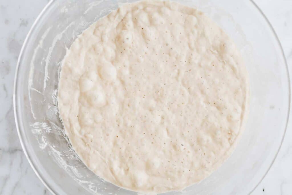 no knead bread recipe step 1