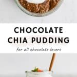 Chocolate Chia Pudding pinterest pin