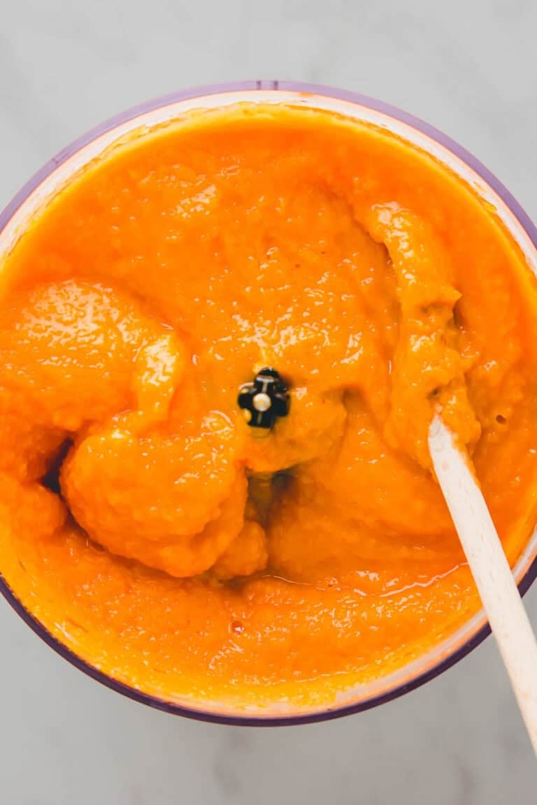 pumpkin puree in a food processor