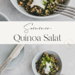 Sommer Quinoa Salat Pinterest Pin
