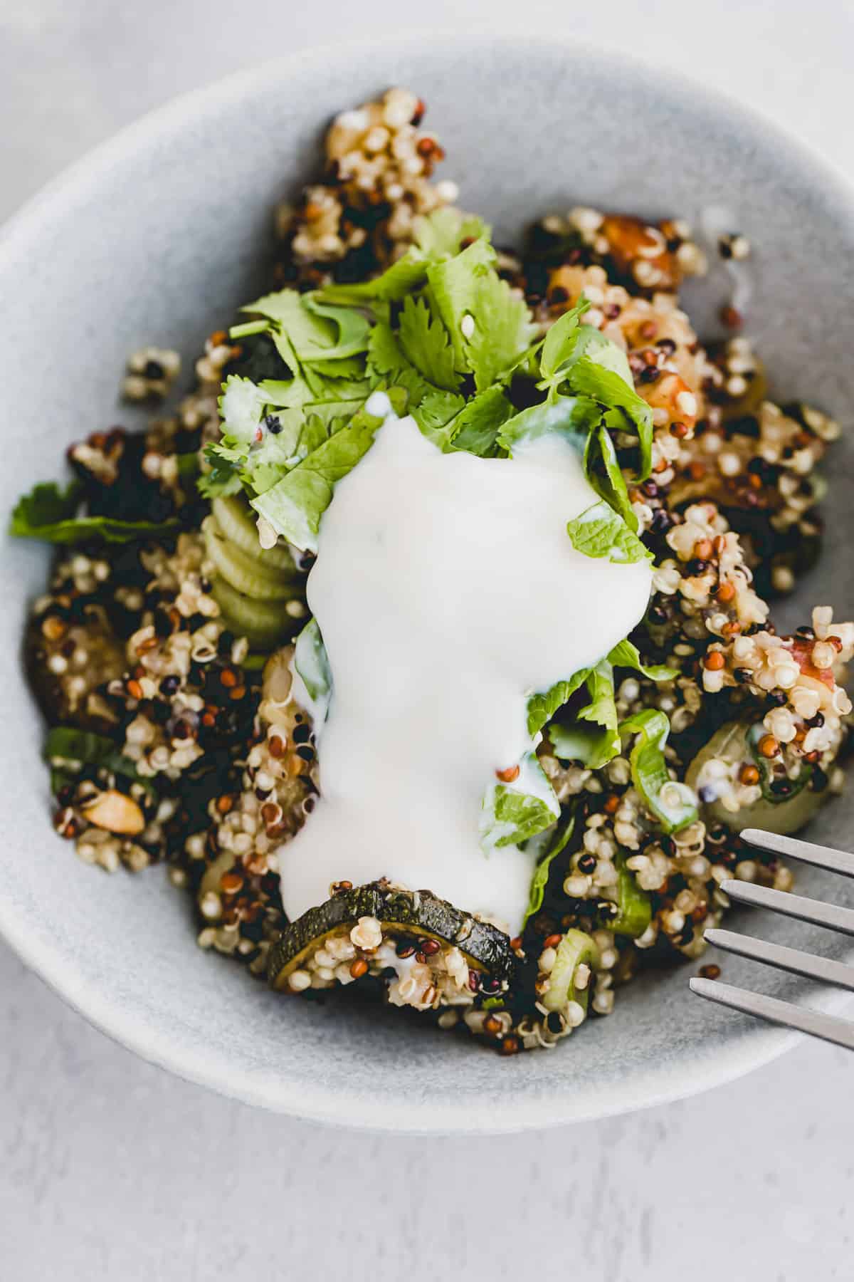 nahaufnahme von veganem quiona salat mit joghurt