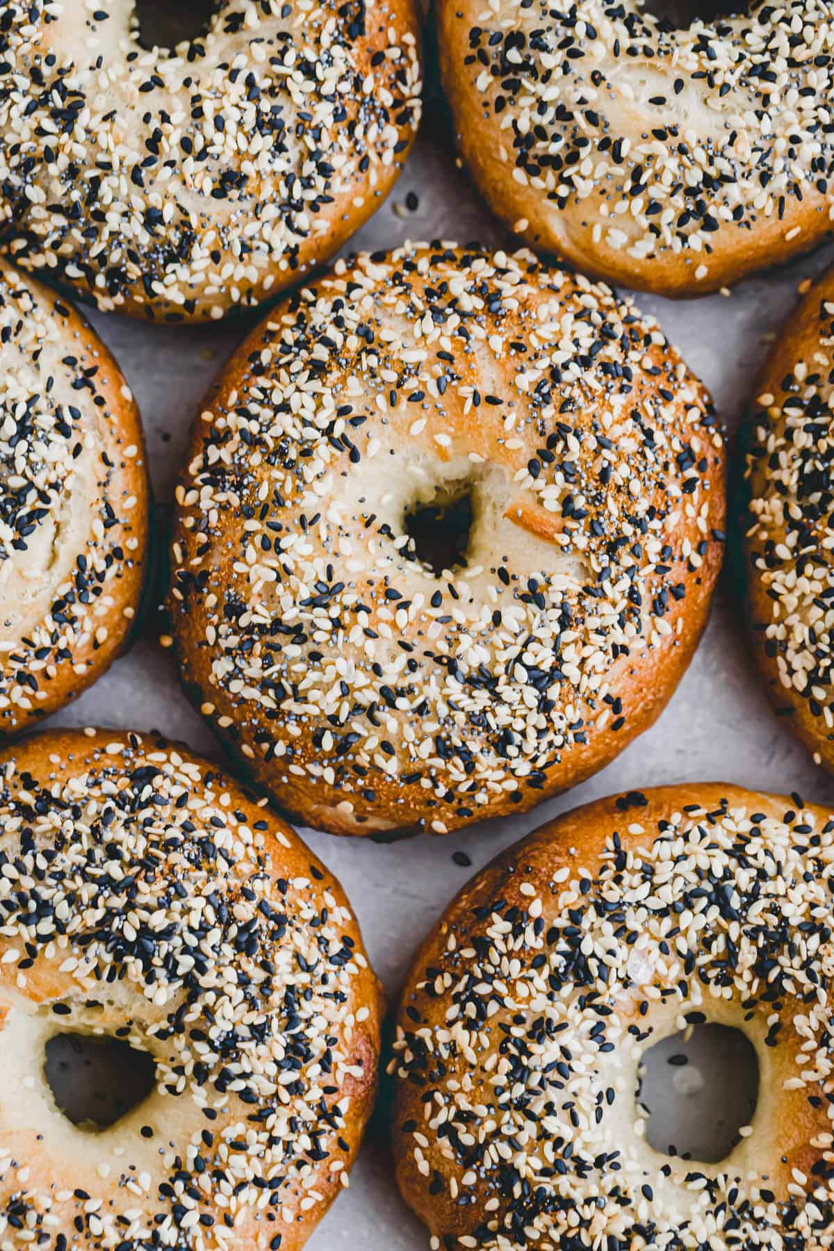 bagel frisch gebacken mit bagel everything seasoning