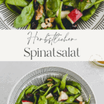 spinatsalat mit apfel pinterest pin