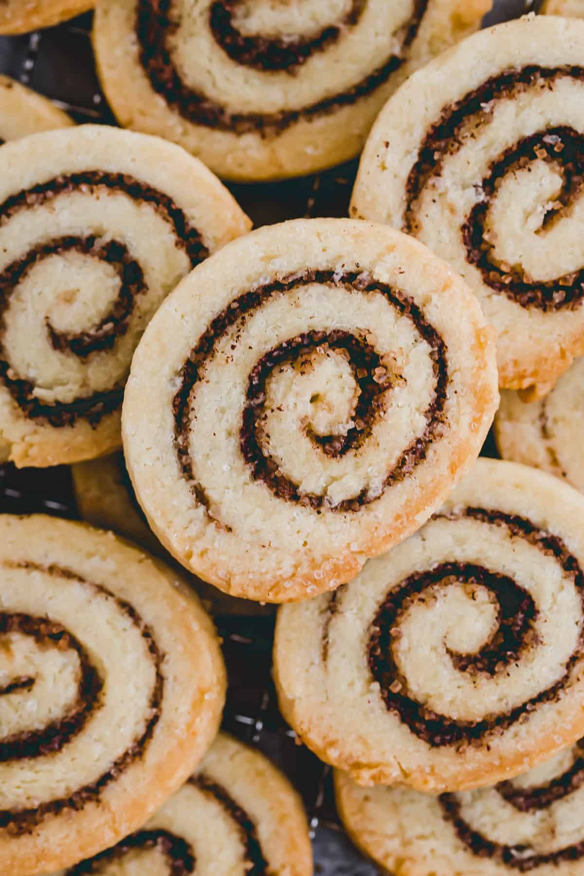close up shot of cinnamon cookies