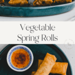 Spring Rolls Pinterest Pin