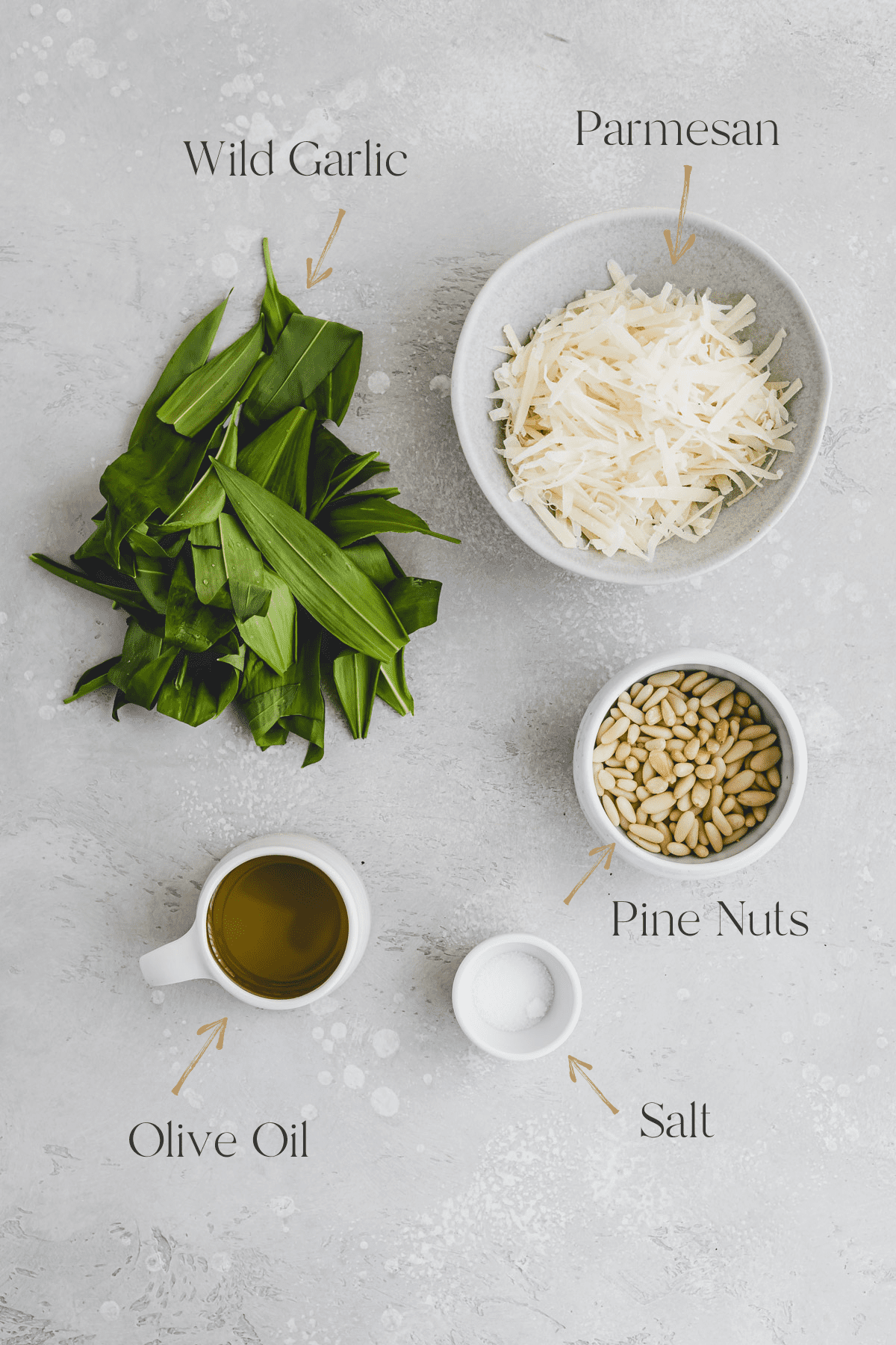 Wild Garlic Pesto Ingredients