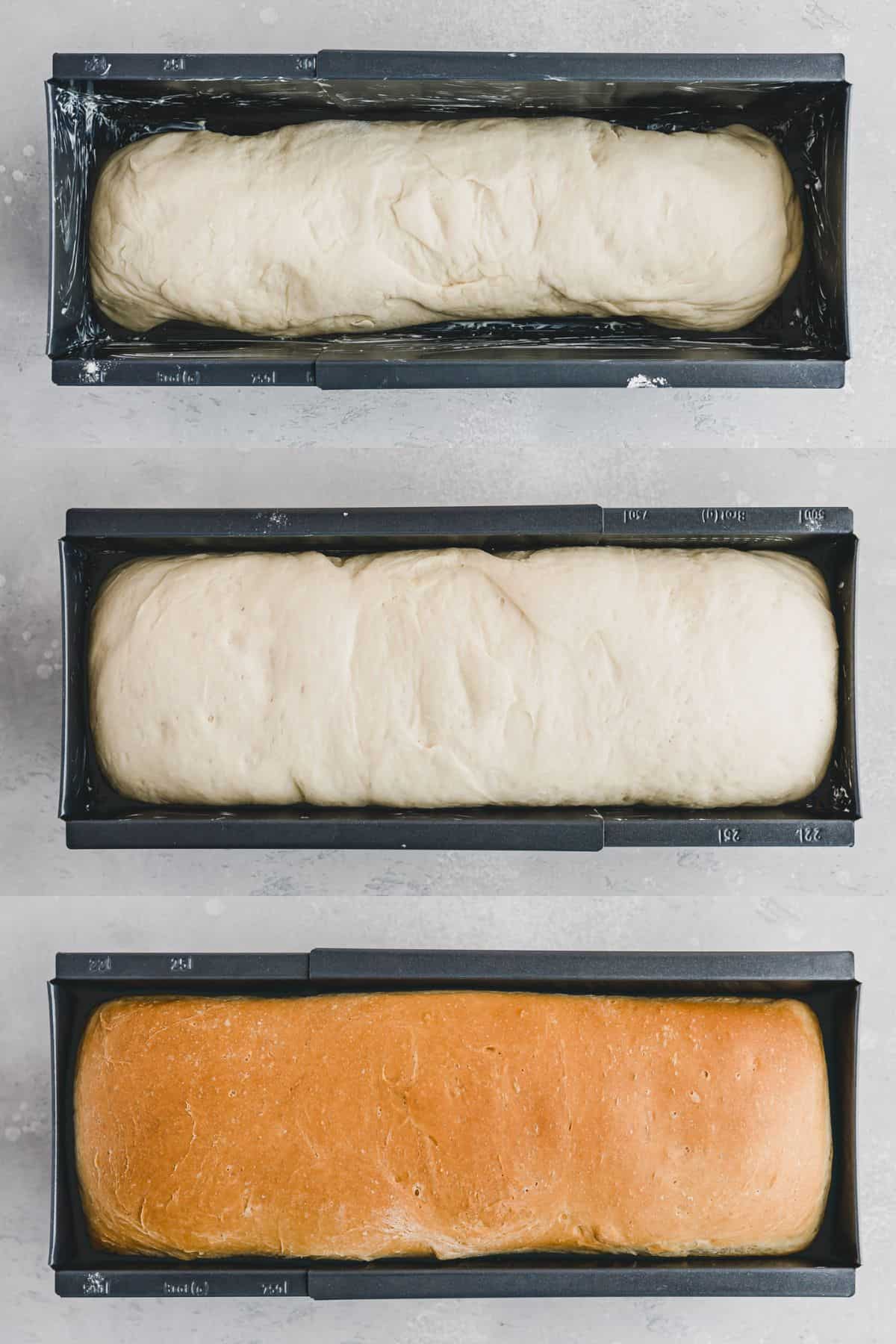 Sandwich Bread Recipe Step 8-10