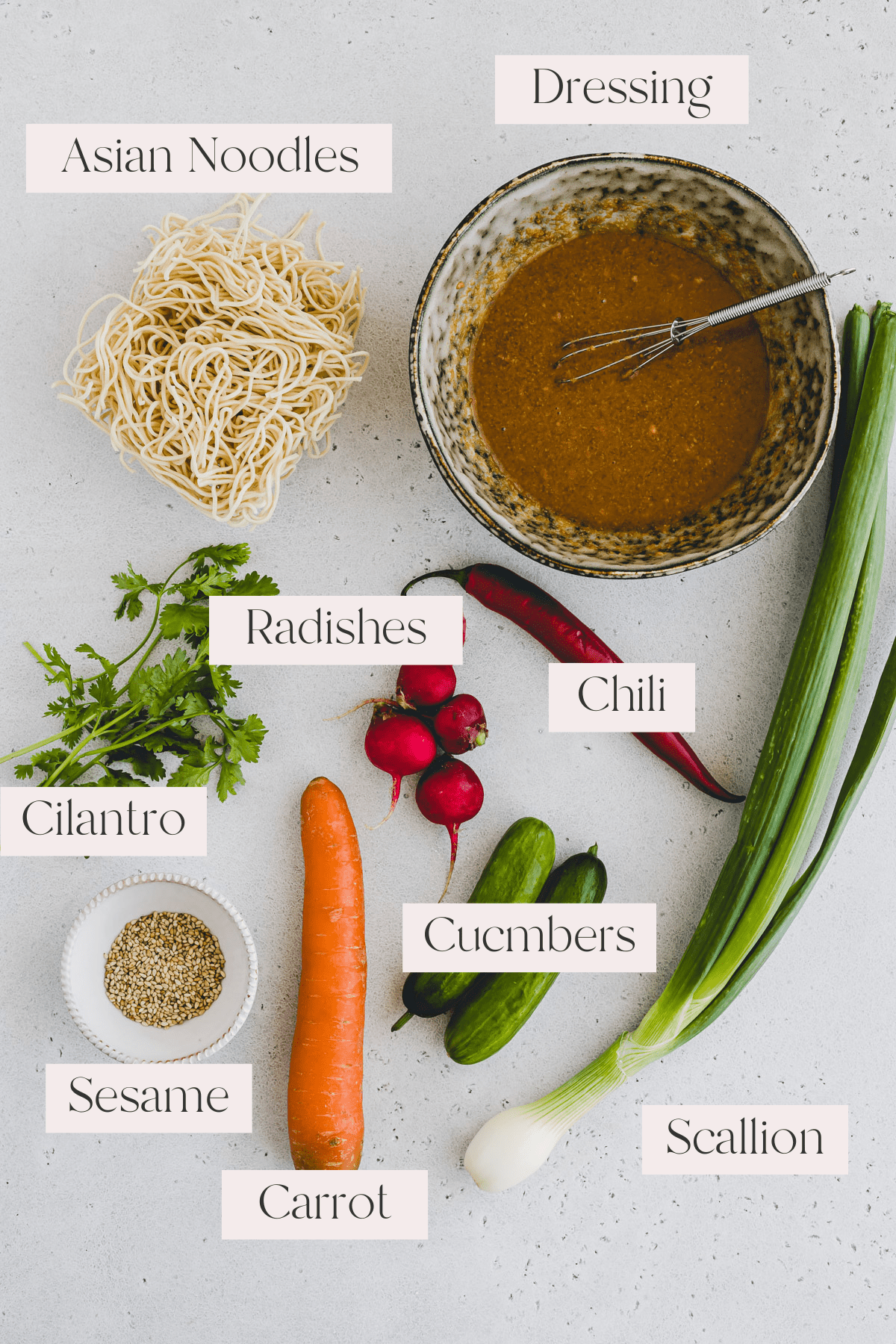 Top view of Asian Noodle Salad Ingredients including Asian dressing in a bowl with a whisk in it, Asian noodles, radishes, chili, cilantro, sesame seeds in a small white bowl, a carrot, and a scallion. 