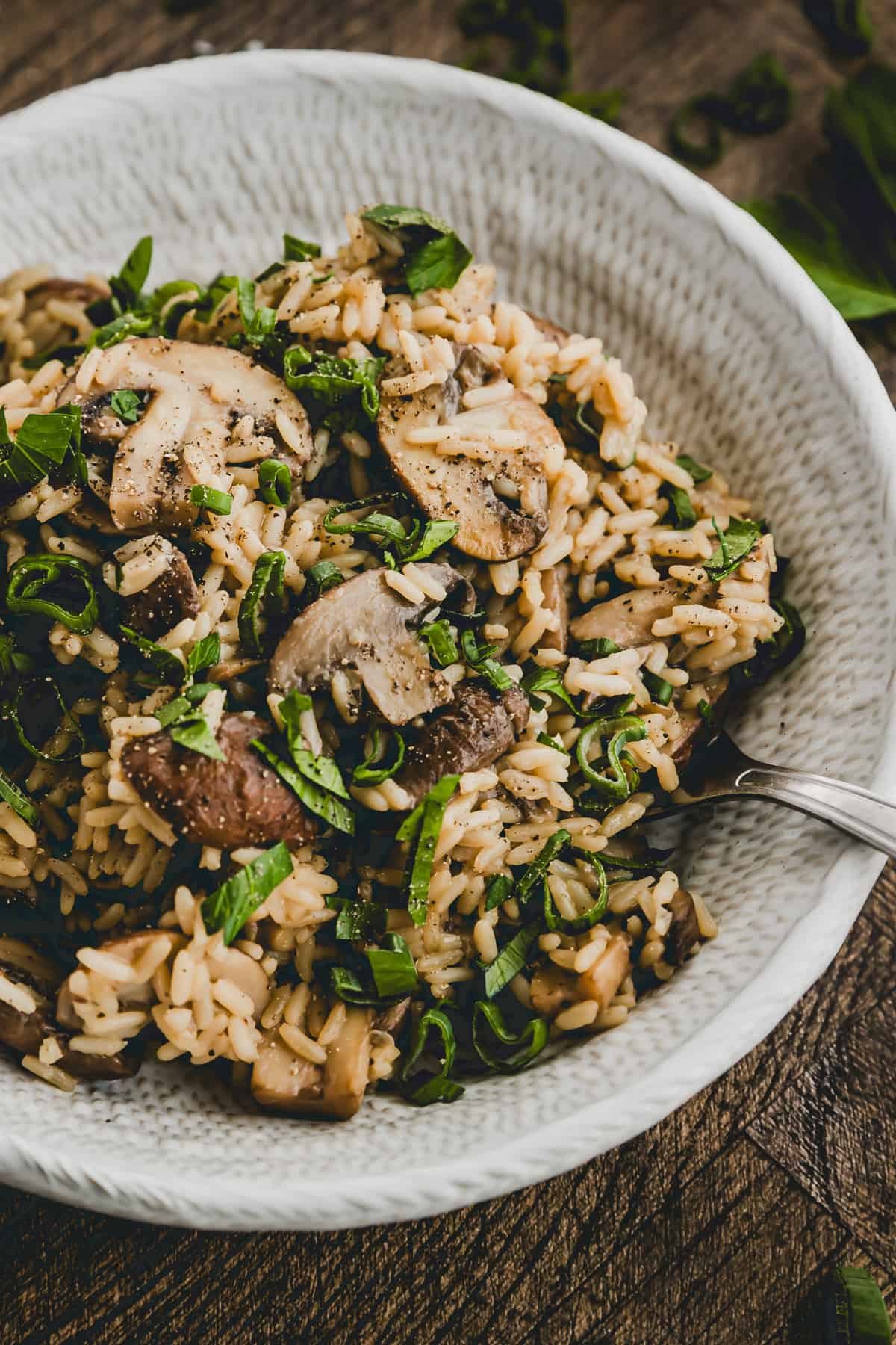 macro shot of mushroom rice