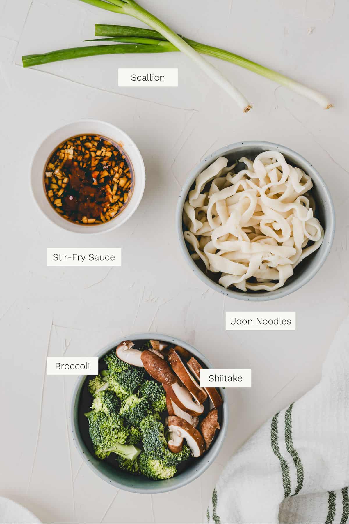 Stir-Fry Udon Ingredients