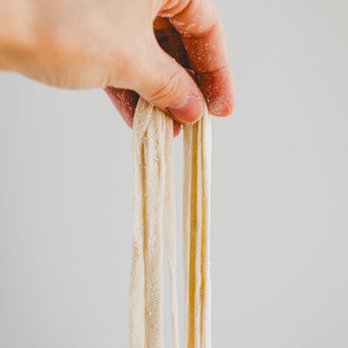 a hand holding homemade udon noodles