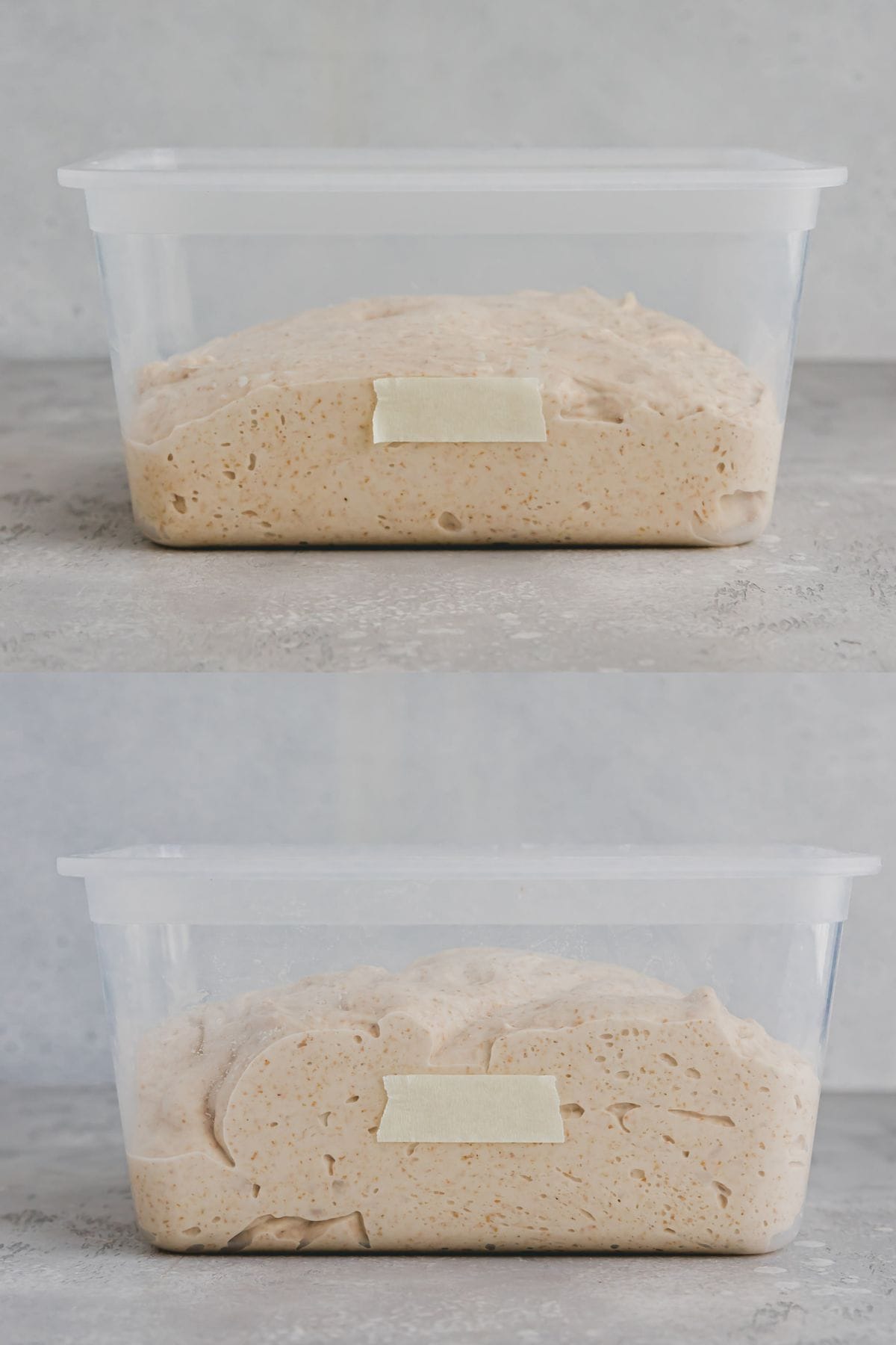 Sourdough in a box
