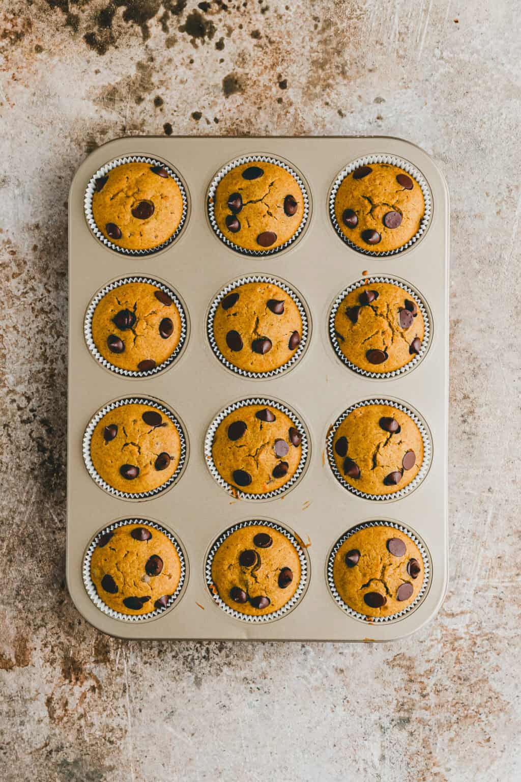 Kürbis-Muffins Rezept | Aline Made