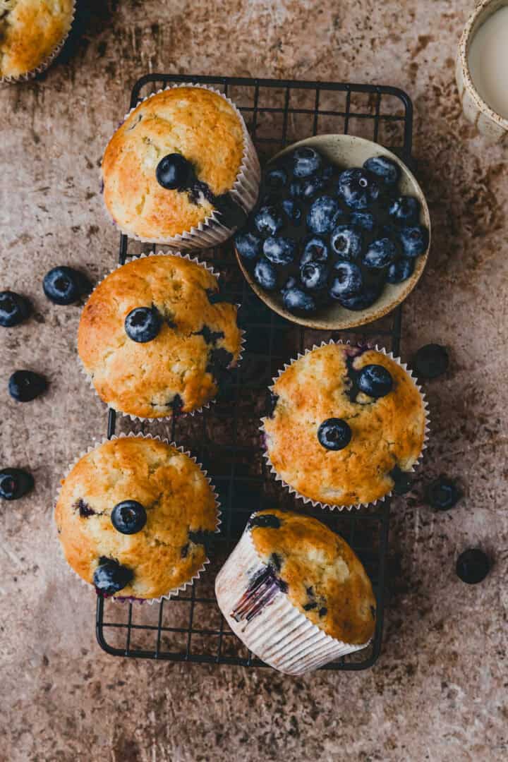 Blaubeer Muffins auf einem gitter neben einer schüssel gefüllt mit blaubeeren