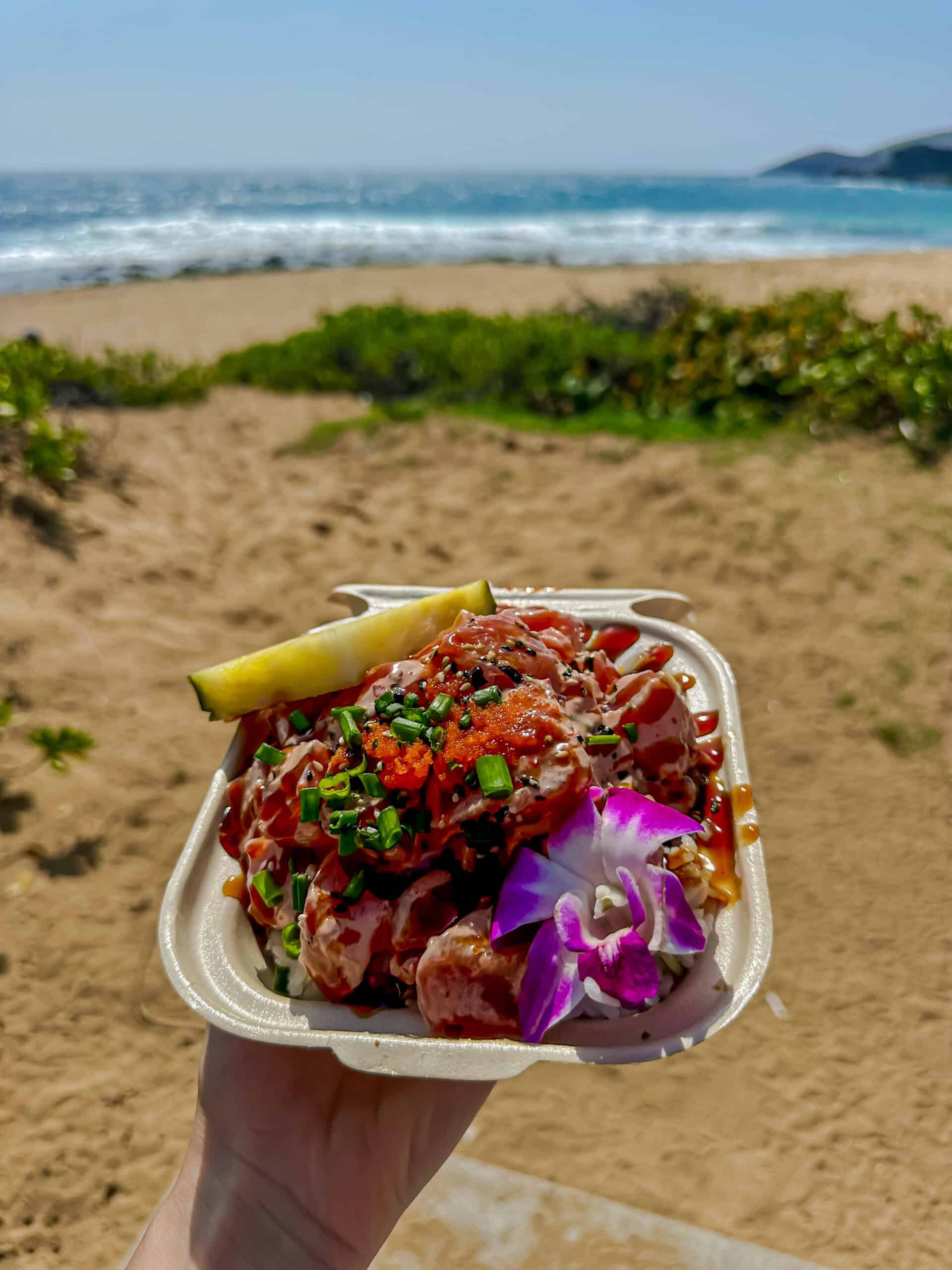 poke bowl at sandy beach