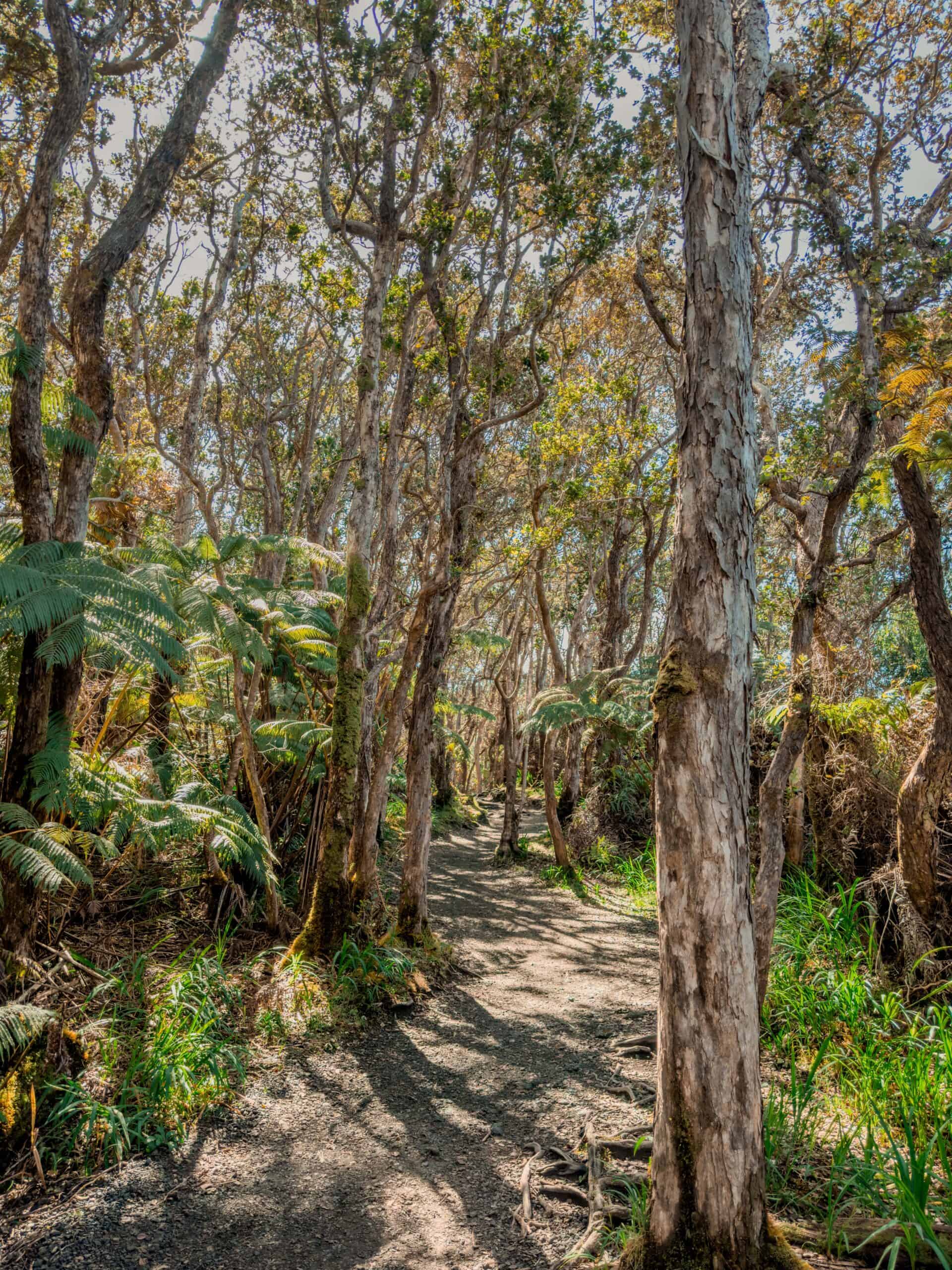 Hawaiʻi Volcanoes National Park